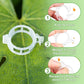 🥳2026 HOT SALE🥳💞100K+ SOLD!✨ 💝Secured Plastic Plant Clips