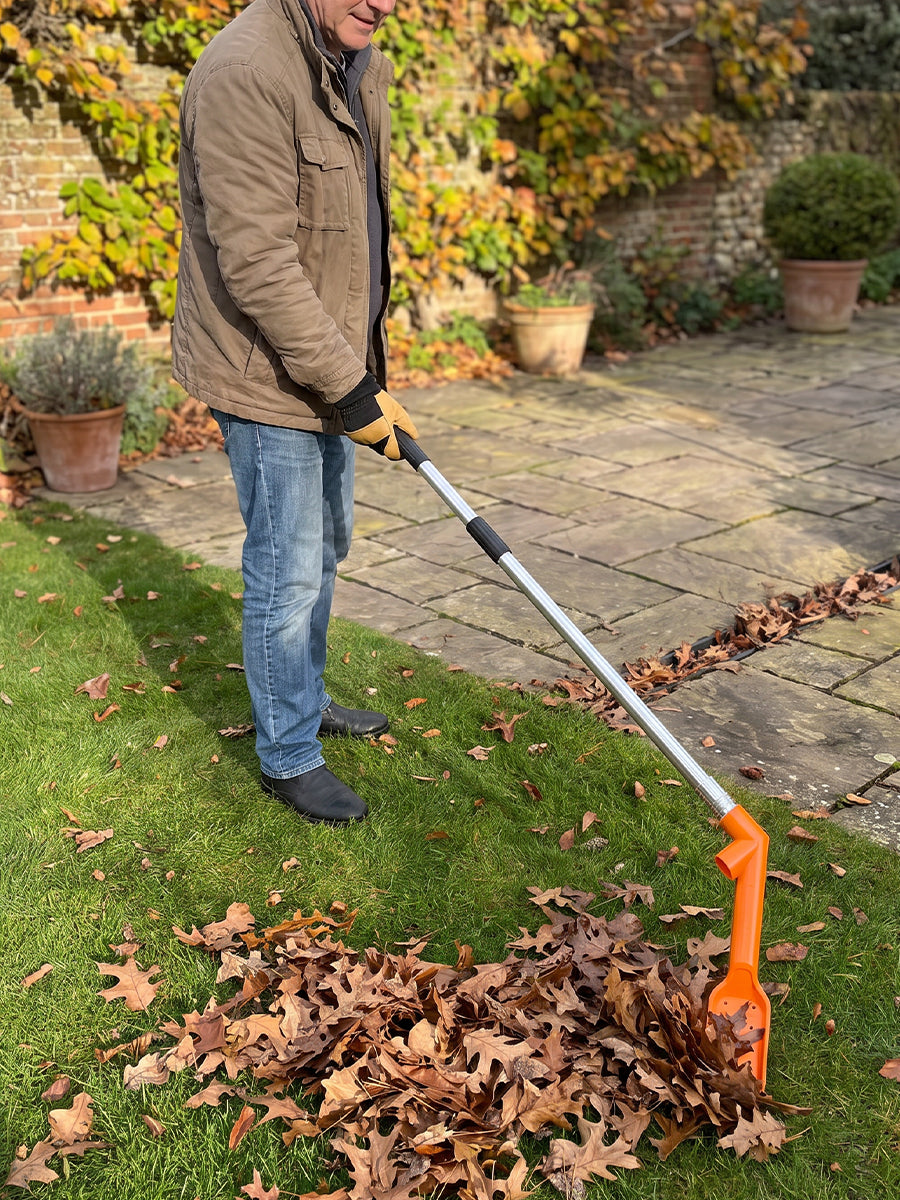 Garden Lawns