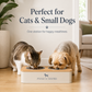 Stainless Steel Detachable Double Pet Bowl