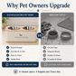 Stainless Steel Detachable Double Pet Bowl