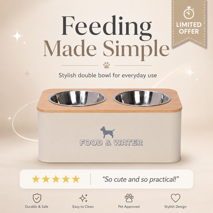 Stainless Steel Detachable Double Pet Bowl