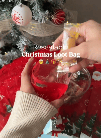 ❄️🎅Early Christmas Sale 50% OFF!!☃️🎄Christmas Treat Bags, Kids Xmas Sealable Bags With Handle 10 PCS❄️