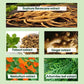 Plant Extract Bubble Hair Dye🎅 Christmas Must Have Hair Color🎅