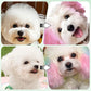 Dog Hair Dye Cream Kit with Safe Long-Lasting Dye Effect
