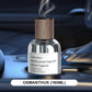 Aromatherapy Car Air Freshener – Long-Lasting Scent and Odor Eliminator