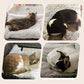 🎉Christmas Sale - 50% OFF🐱 Self Heating Cats Dogs Pad