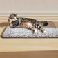 🎉Christmas Sale - 50% OFF🐱 Self Heating Cats Dogs Pad
