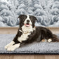 🎉Christmas Sale - 50% OFF🐱 Self Heating Cats Dogs Pad