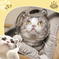 Transparent & Breathable Cat Ball Mask