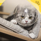 Transparent & Breathable Cat Ball Mask