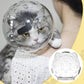 Transparent & Breathable Cat Ball Mask