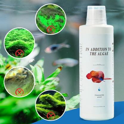 Effective Algae Control for Aquarium