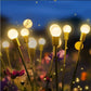 🔥HOT SALE 50% OFF🔥Solar Powered Firefly Light