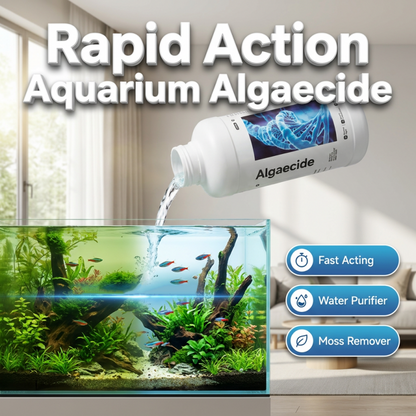 Rapid Action Algae Remover for Aquariums