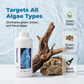 Rapid Action Algae Remover for Aquariums