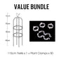 Garden Trellis for Climbing Plants