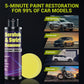 Professional Car Scratch Remover