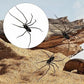 🎉 2026 Sale — Over 8,000 Sold! 🕷️ Realistic Spider Magnets – Trick or Treat Your Fridge, Garage & Car — Halloween Fun All Year! 🏠