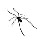 🎉 2026 Sale — Over 8,000 Sold! 🕷️ Realistic Spider Magnets – Trick or Treat Your Fridge, Garage & Car — Halloween Fun All Year! 🏠