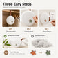 Reusable Mini Dehumidifier for Home