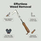 📹 50% OFF NOW! 🛡️2026 New Crack Weeder Tool Crevice Cleaning Tool