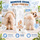 No-Rinse Pet Anal Cleansing Foam