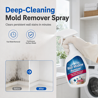 Wall & Ceiling Mold Remover Spray