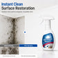 Wall & Ceiling Mold Remover Spray