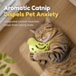 Bird Shaped Pet Chew Toy and Food Dispenser