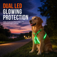 📢📢50% OFF !! ⏰ LED Dog Harness – Luminous, flashing & adjustable fit ✨